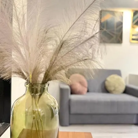 Zabrsaint P E R F E C T Select Zii 아파트