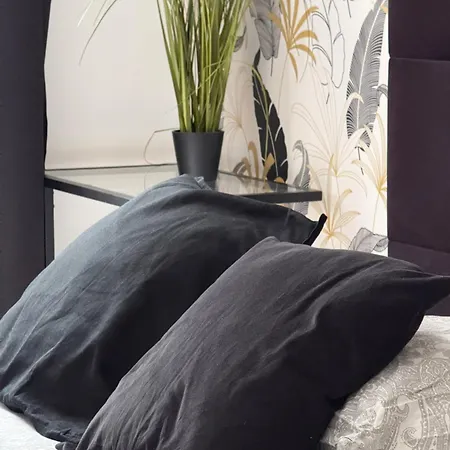 Zabrsaint P E R F E C T Select Zii