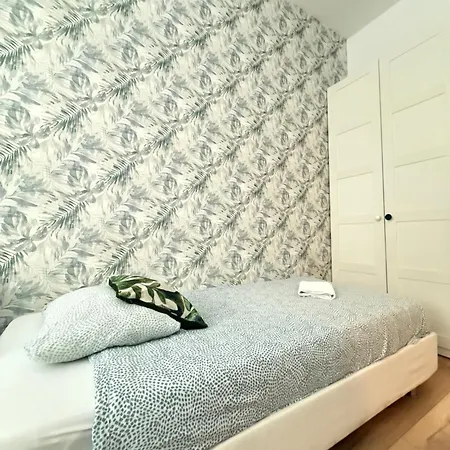 Zabrsaint P E R F E C T Select Zii 카토비체