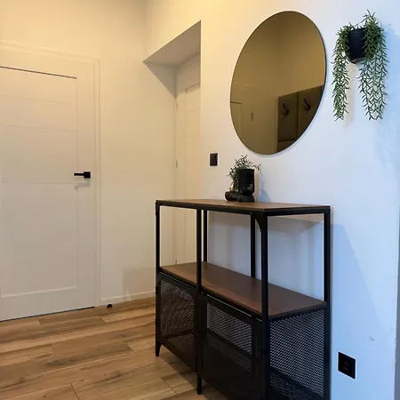 Zabrsaint P E R F E C T Select Zii 카토비체